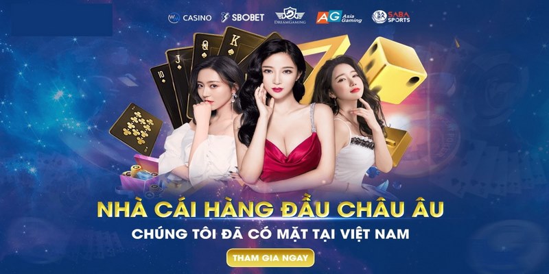 Giấy phép hoạt động tại nhà cái